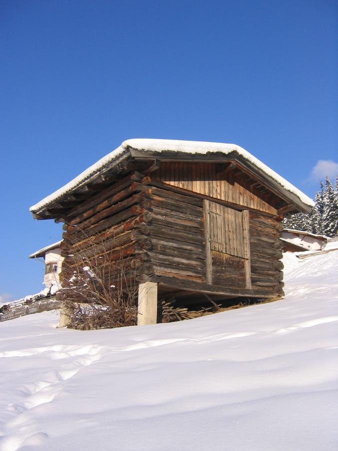 Appartement Alpenhaus Christian à Neustift im Stubaital Extérieur photo